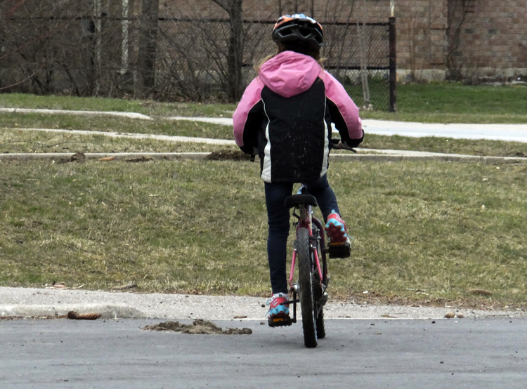 Bike Basics for Kids